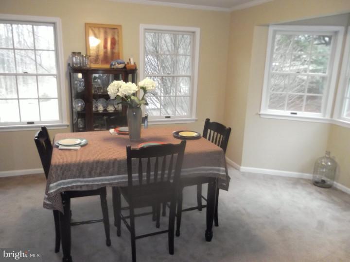 262 Blimline Road Mohnton, PA 19540 - Photo 5 of 23 Gallery Image 5