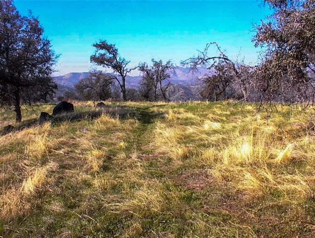 a view of swimming pool of a yard