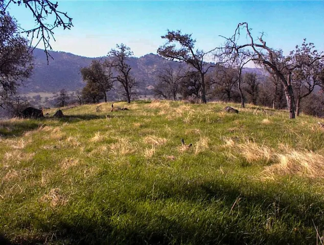 a view of swimming pool with a yard