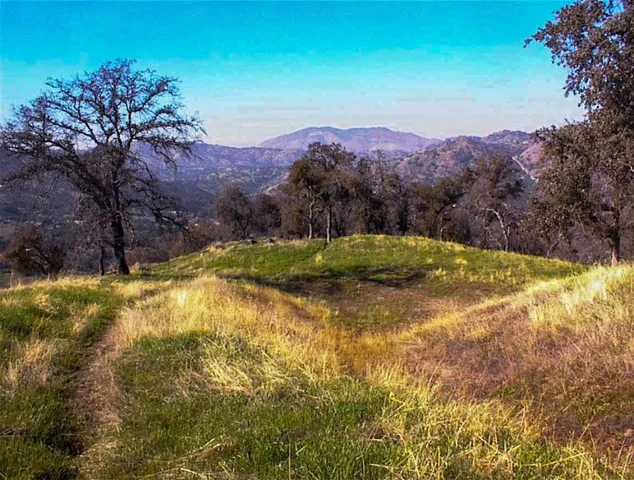 a view of a lake with a tree