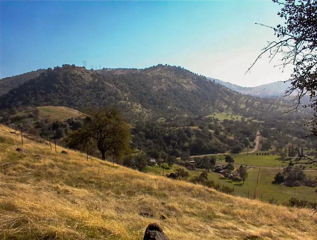a view of a yard with an ocean
