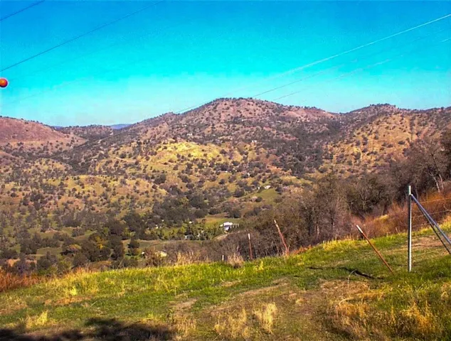 a view of a big yard