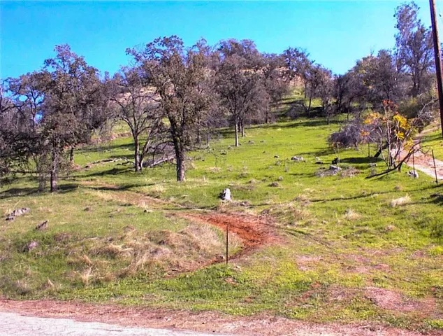 a view of a yard with an outdoor space