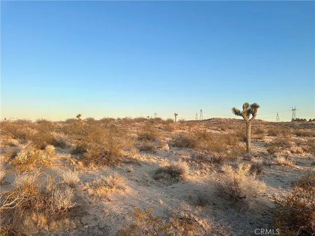 a view of a bunch of trees in a field