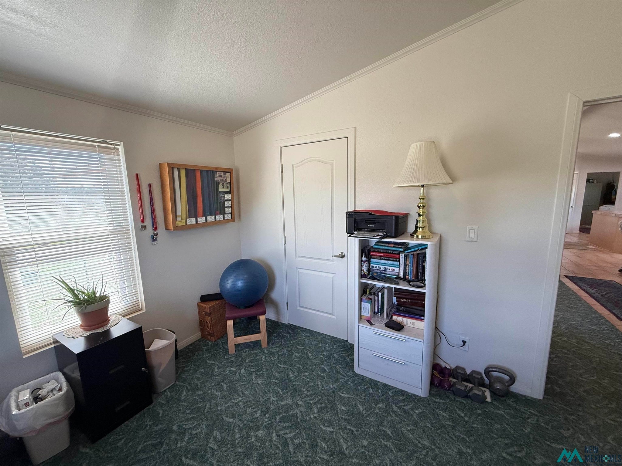 16 Overlook Road Los Ojos, NM 87551 - Photo 29 of 39 Gallery Image 29