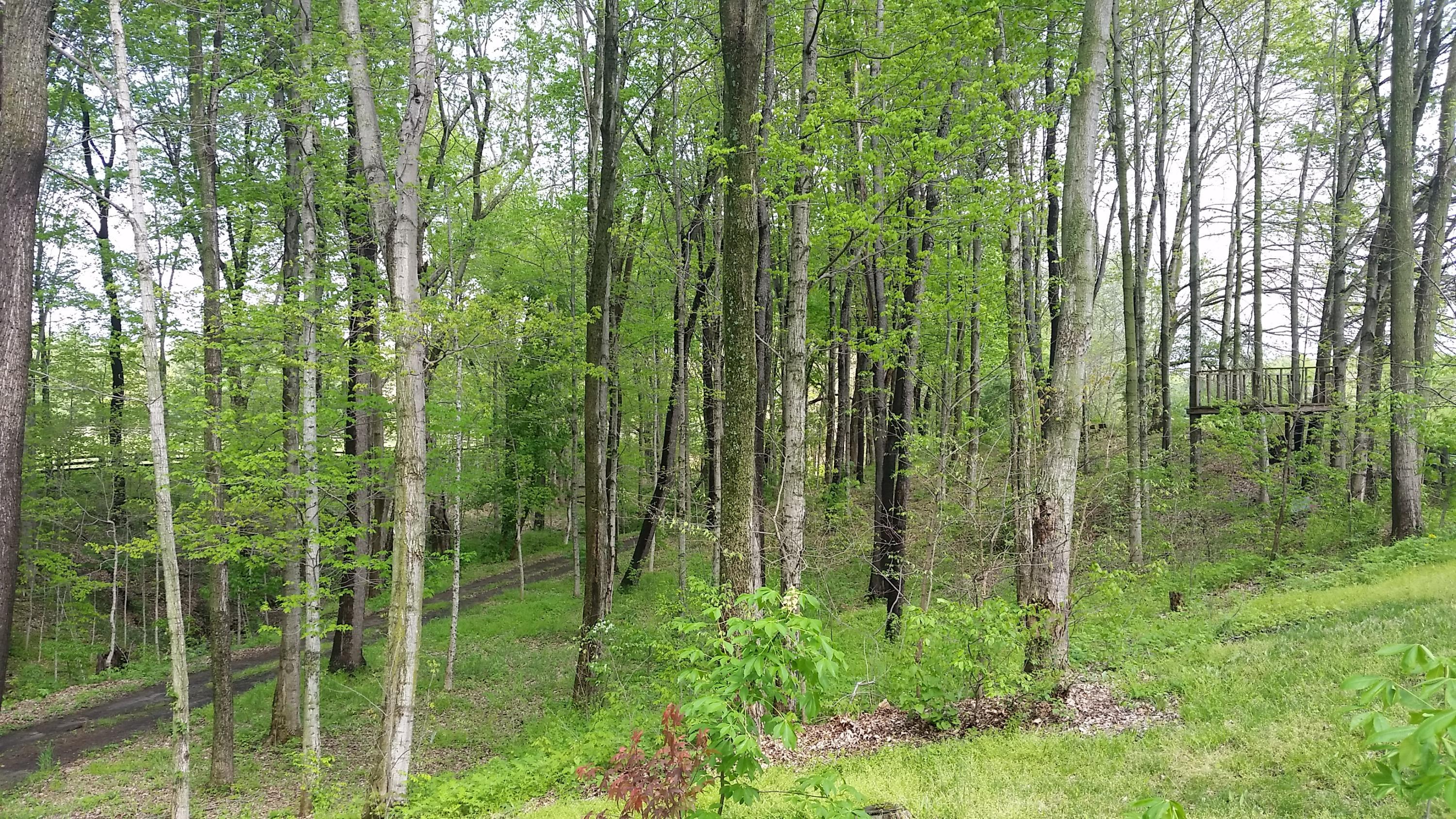 7638 Perry Road Delaware, OH 43015 - Photo 3 of 19 Gallery Image 3