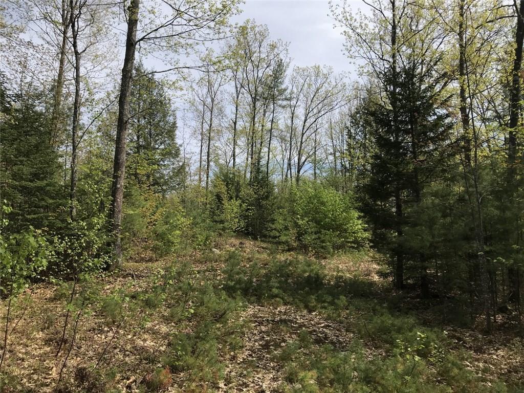 Lot 34 Osgood Road Bethel, ME 04217 - Photo 15 of 20 Photo