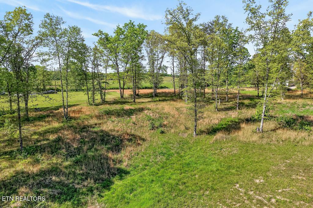 132 Treble Lane Sparta, TN 38583 - Photo 42 of 56 244068_16