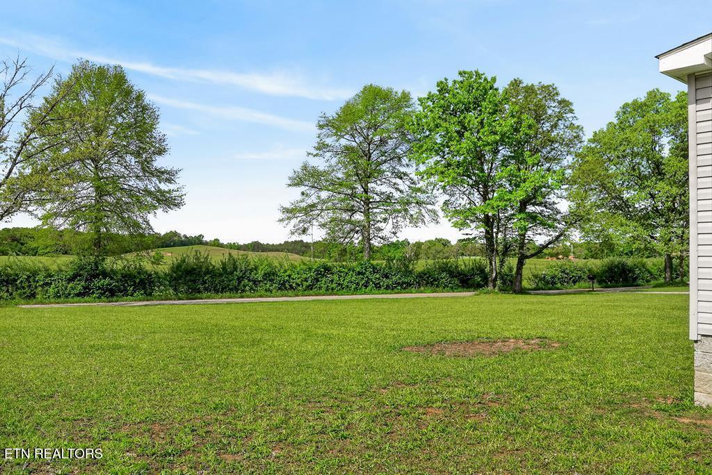 132 Treble Lane Sparta, TN 38583 - Photo 54 of 56 244068_29