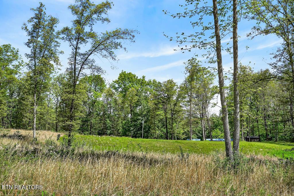 132 Treble Lane Sparta, TN 38583 - Photo 56 of 56 244068_55