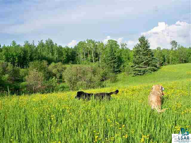 Gulley Road Maple, WI 54854 - Photo 3 of 19