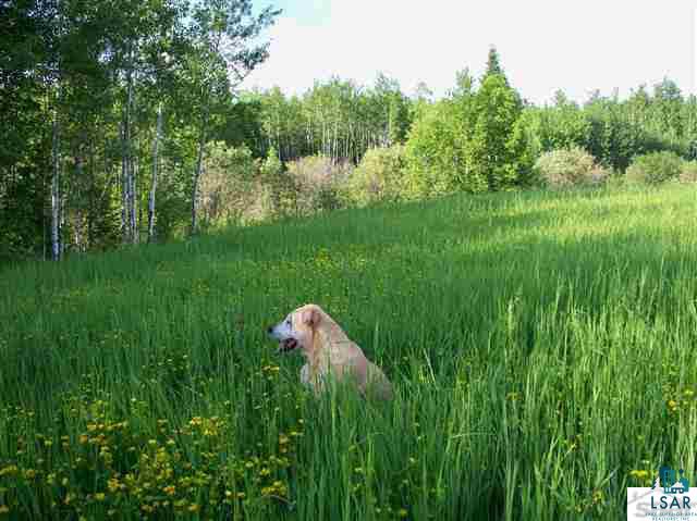 Gulley Road Maple, WI 54854 - Photo 8 of 19