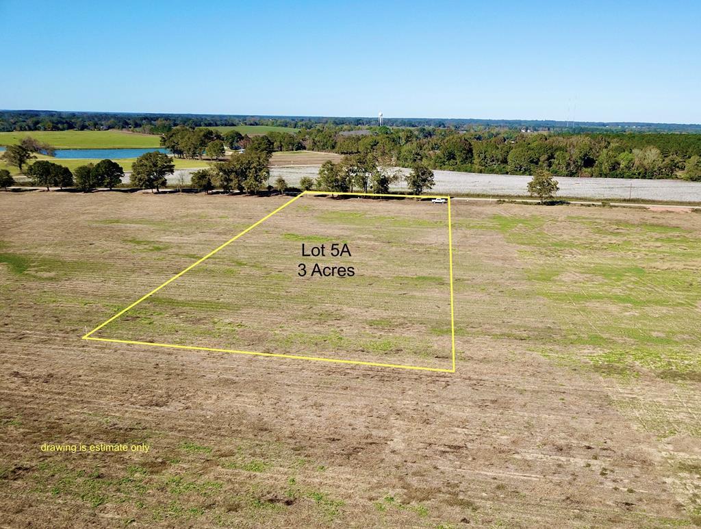 92 County Road 92 Slocomb, AL 36375 - Photo 2 of 3