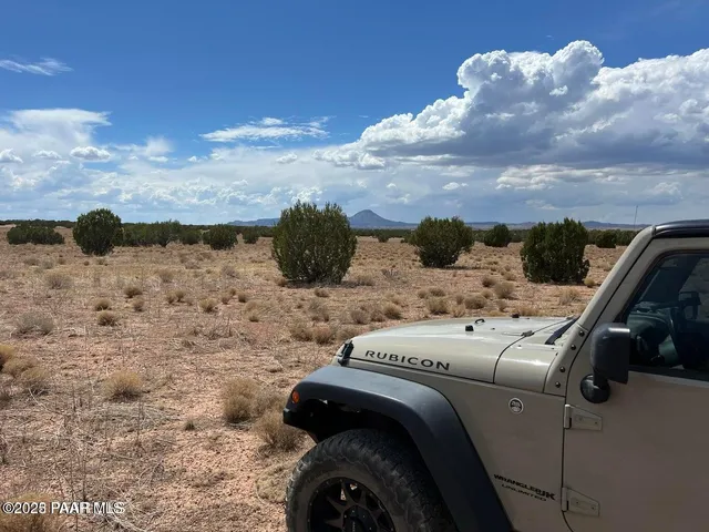a view of a fireplace in a yard