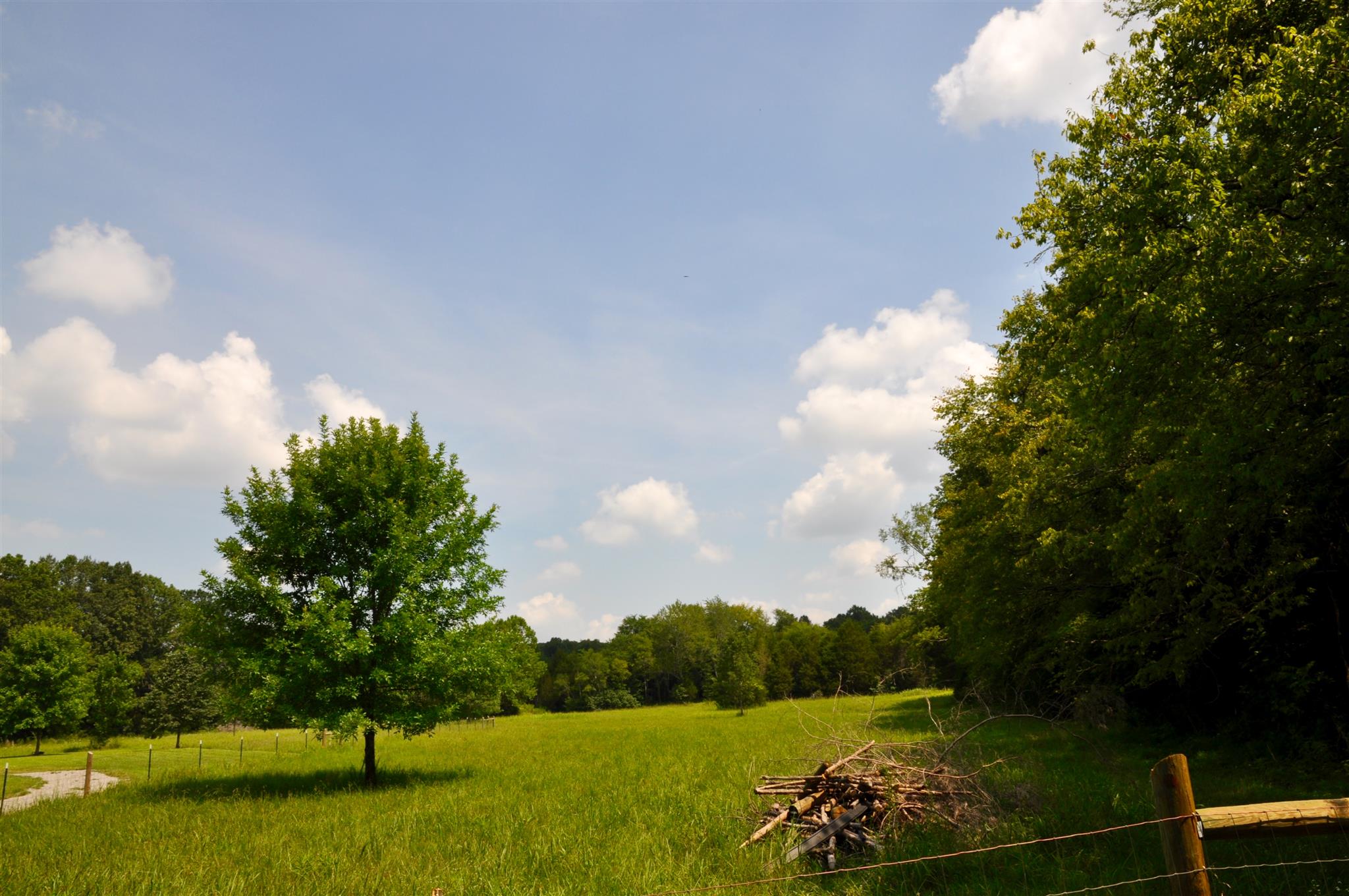 4950 Ash Hill Road Spring Hill, TN 37174 - Photo 22 of 24 Gallery Image 22