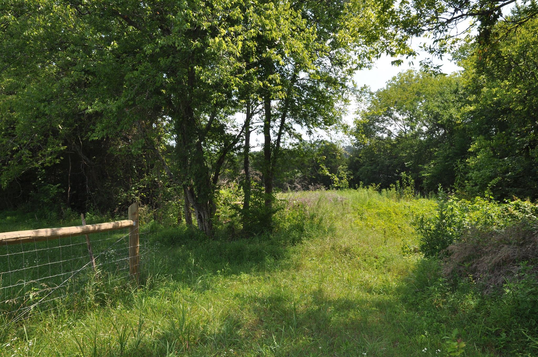 4950 Ash Hill Road Spring Hill, TN 37174 - Photo 23 of 24 Gallery Image 23