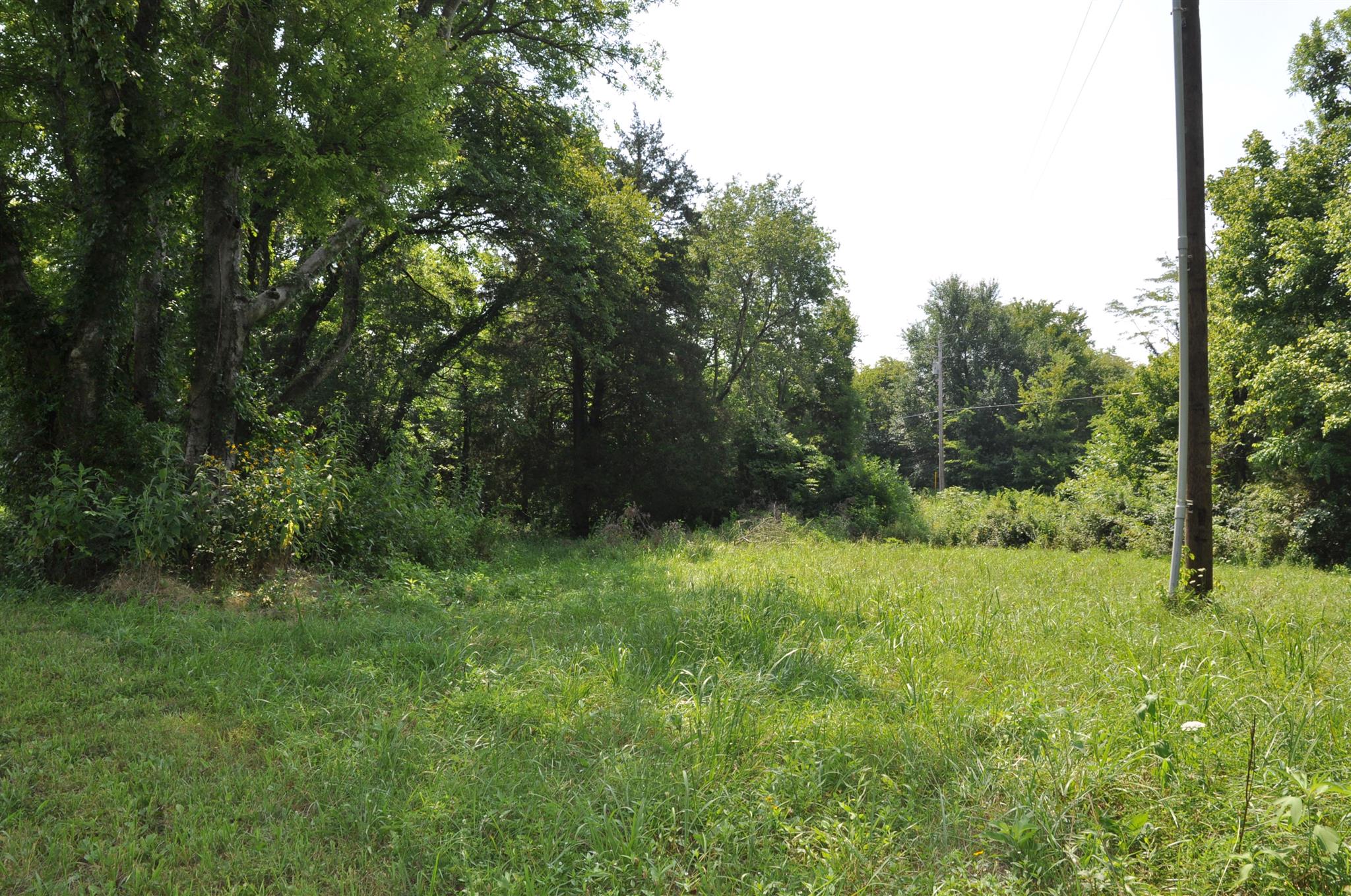 4950 Ash Hill Road Spring Hill, TN 37174 - Photo 3 of 24 Gallery Image 3