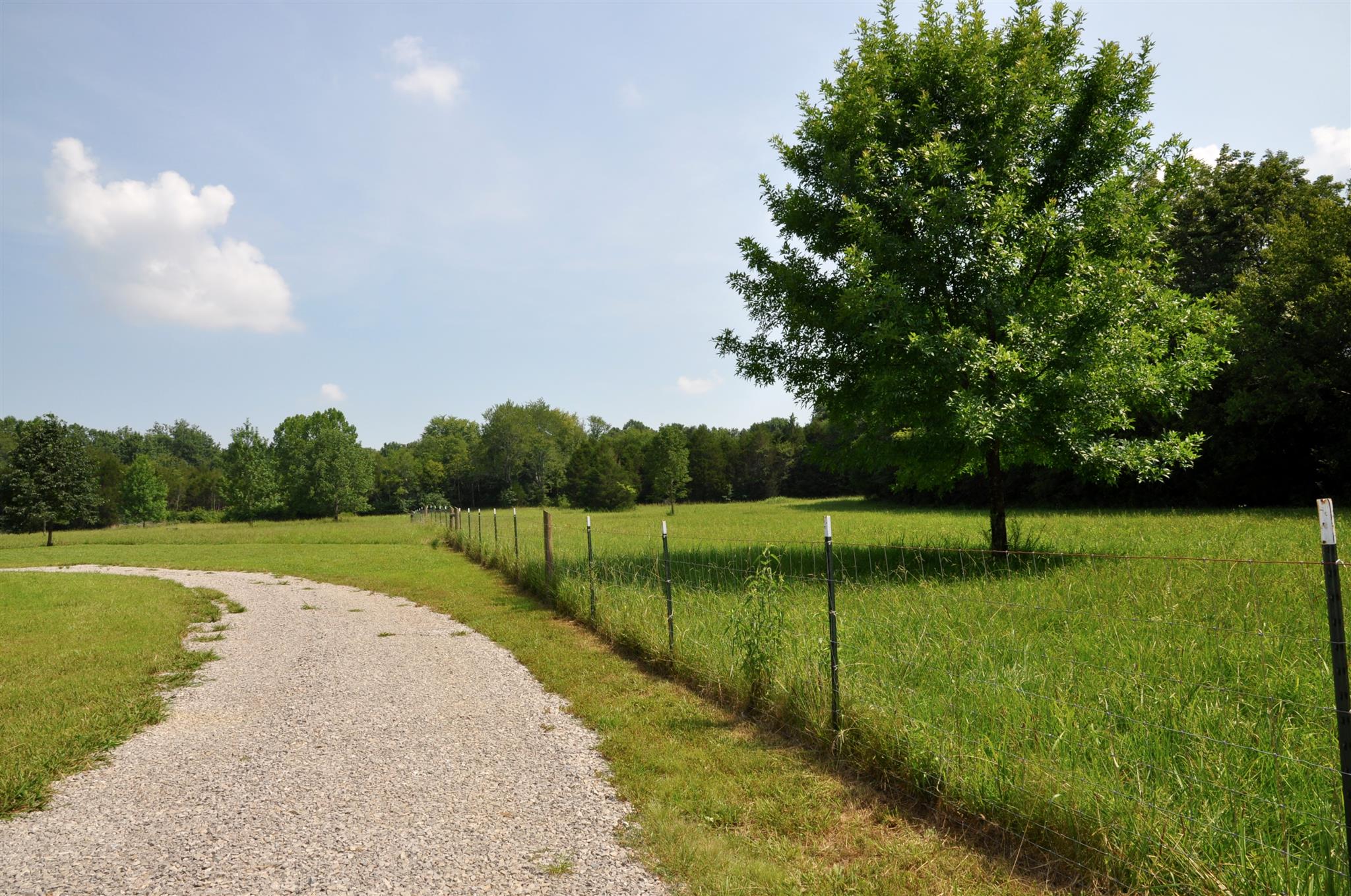 4950 Ash Hill Road Spring Hill, TN 37174 - Photo 5 of 24 Gallery Image 5