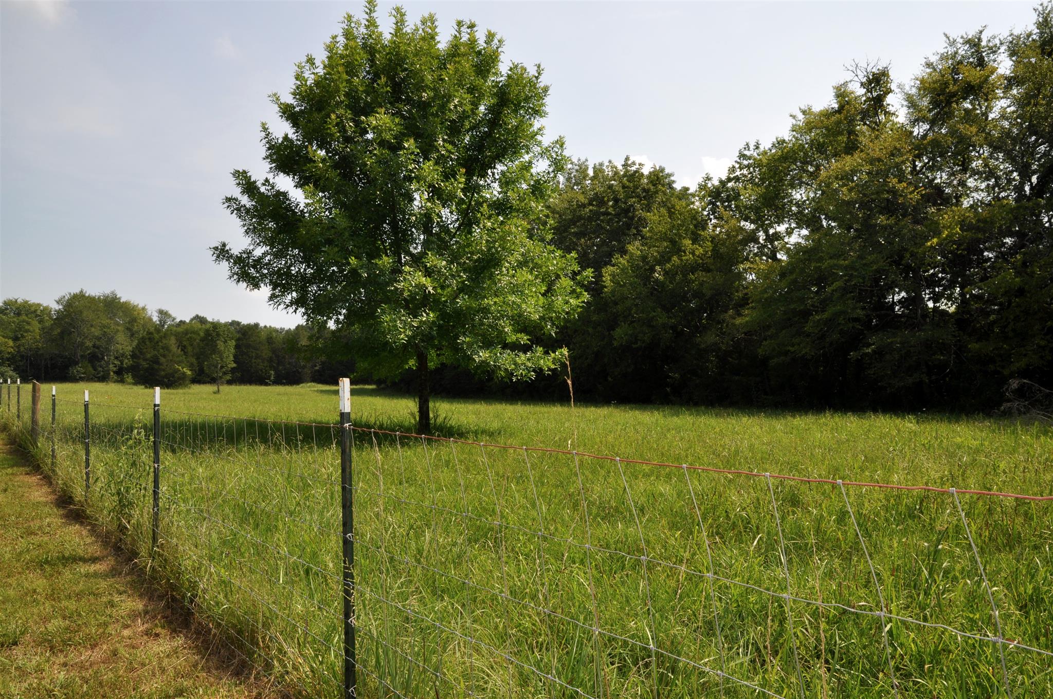 4950 Ash Hill Road Spring Hill, TN 37174 - Photo 6 of 24 Gallery Image 6