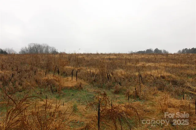 $50,000 | 1.5-ac Lot 9 1.5-ac Road, Bessemer City, NC 28016