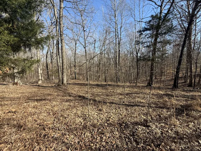 a view of outdoor space with trees