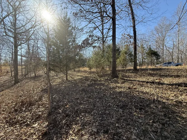a view of a yard with trees