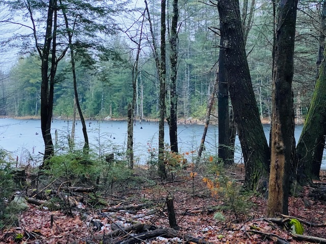 12 Blake Road Raymond, NH 03077 - Photo 21 of 23