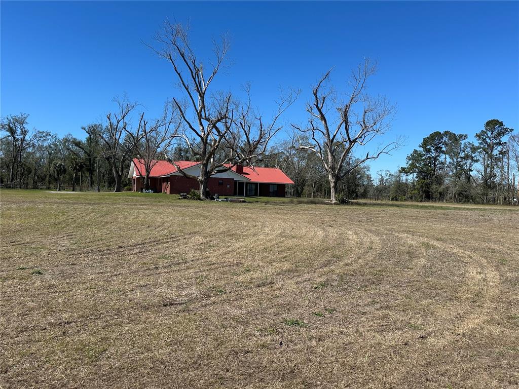 13220 225th Road Live Oak, FL 32060 - Photo 22 of 31 a backyard of a house with lots of green space