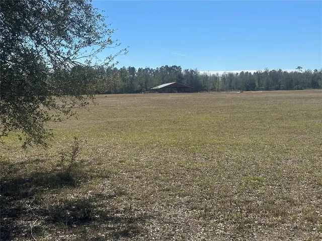 a view of a field with an trees in the background