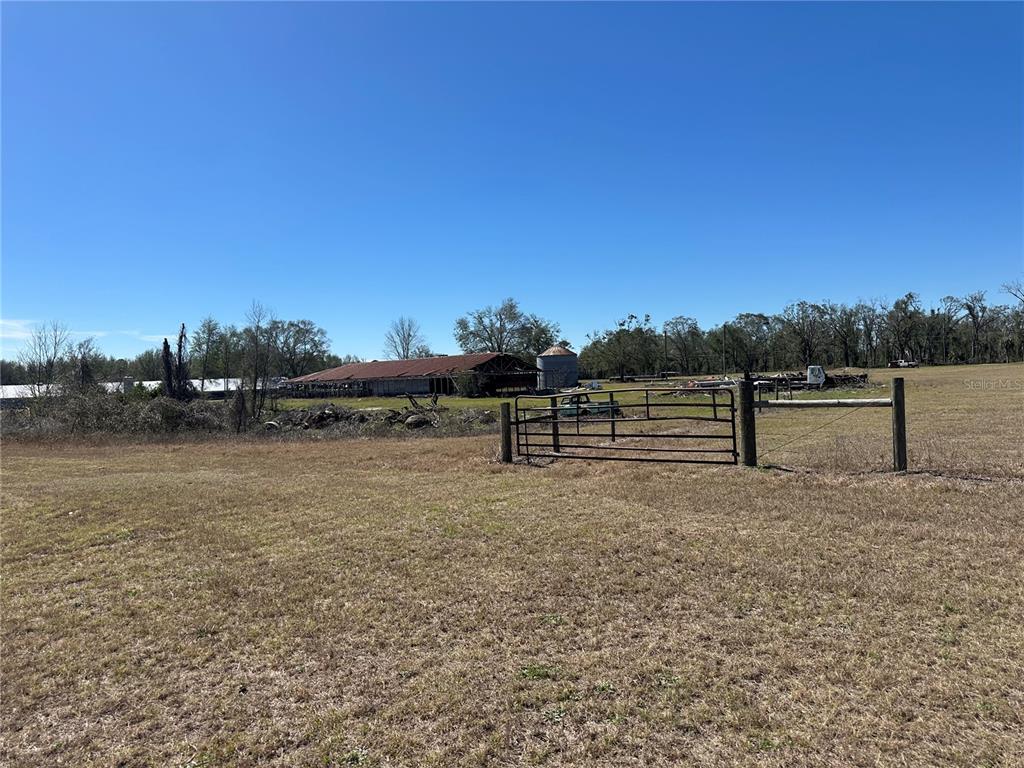 13220 225th Road Live Oak, FL 32060 - Photo 29 of 31 a view of grassy field with mountain in the background
