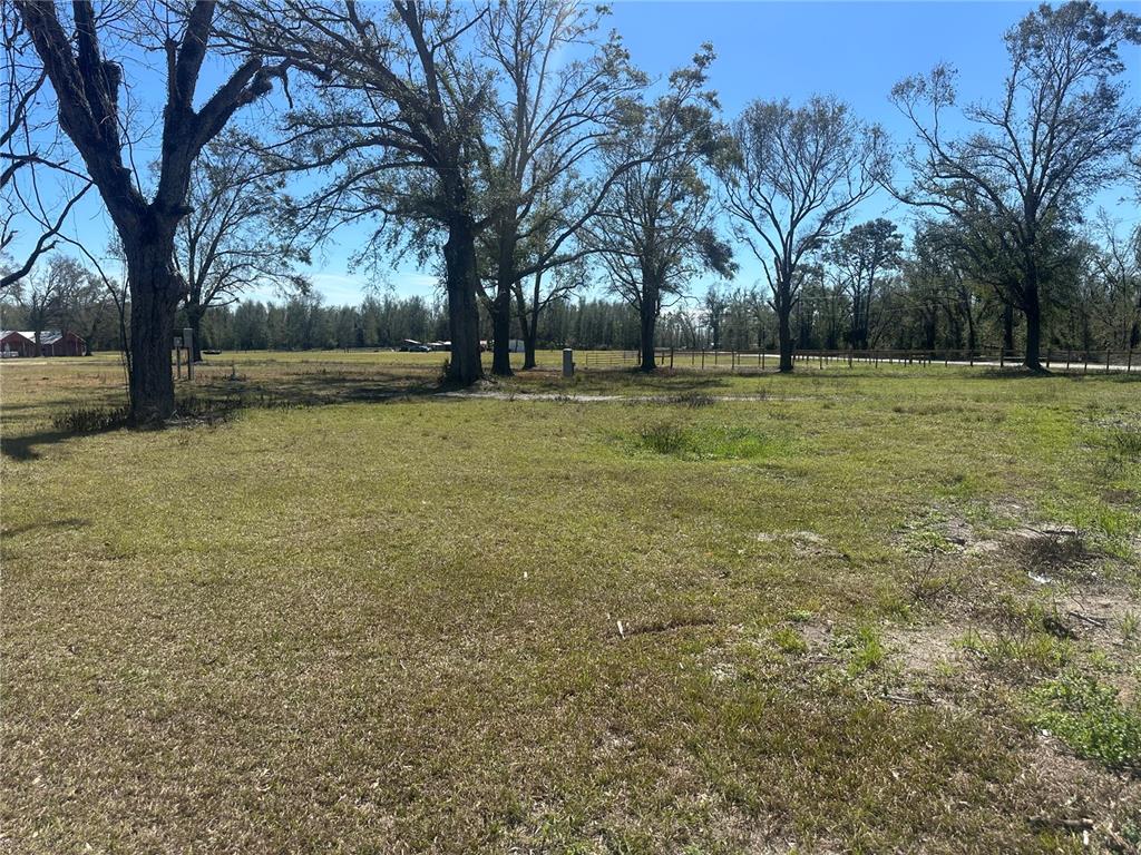 13220 225th Road Live Oak, FL 32060 - Photo 30 of 31 a view of outdoor space with trees