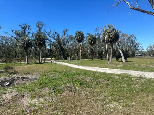 a view of a park with tree s