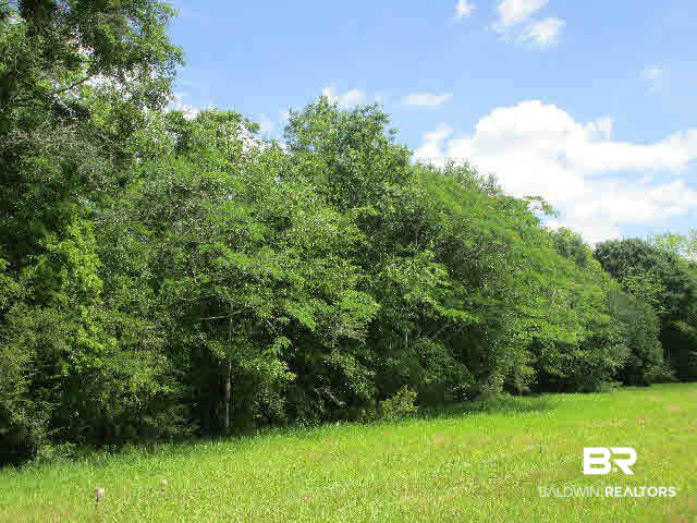 25953 Brewer Road Robertsdale, AL 36567 - Photo 3 of 6