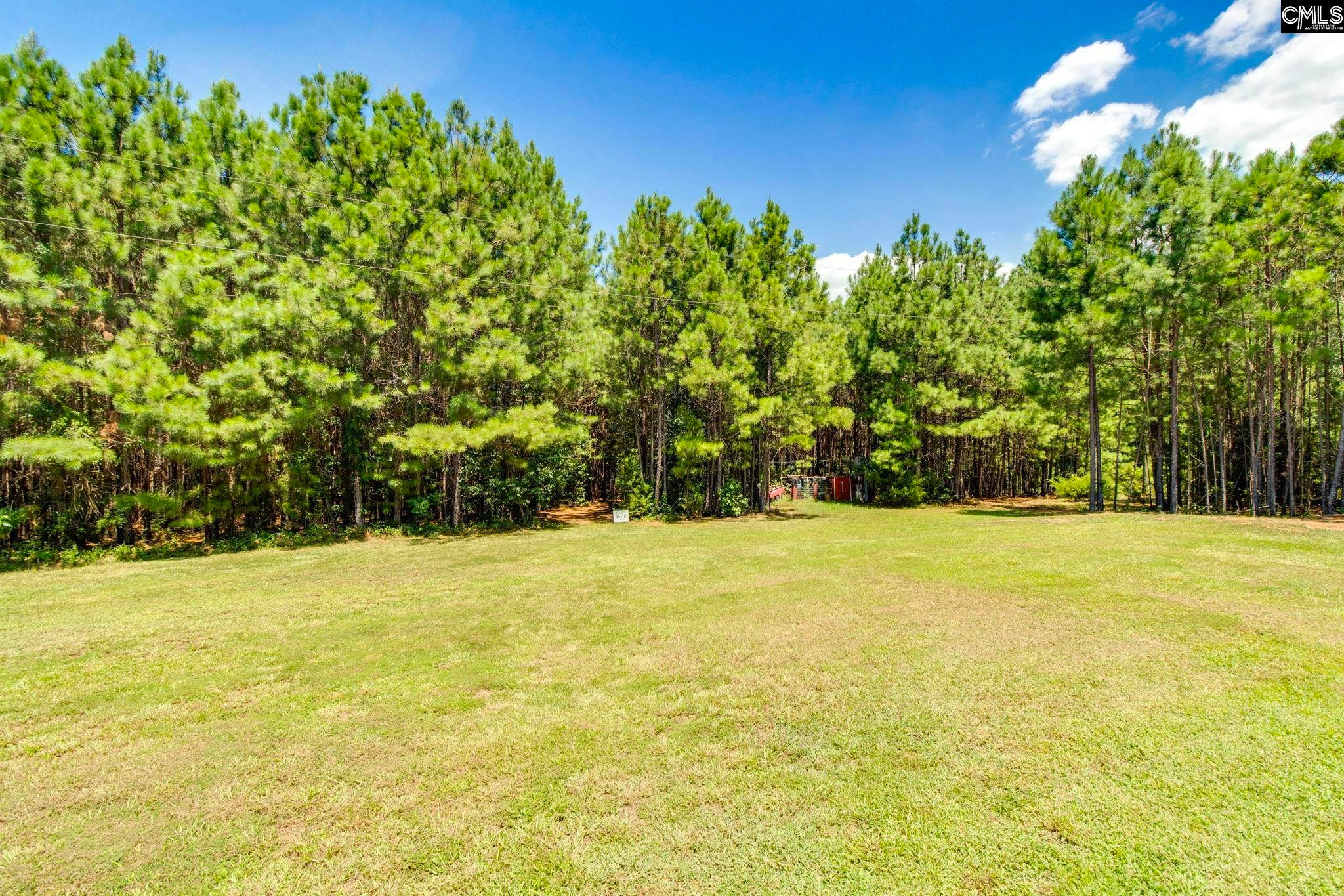 1242 Old Douglas Road Winnsboro, SC 29180 - Photo 19 of 32