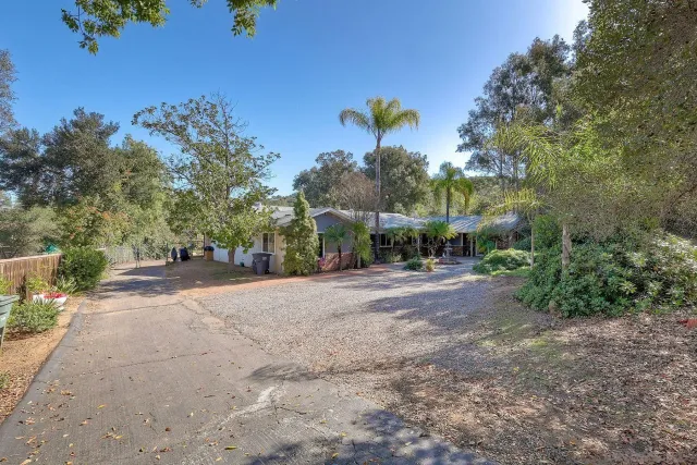 a view of a street with a tree in the background