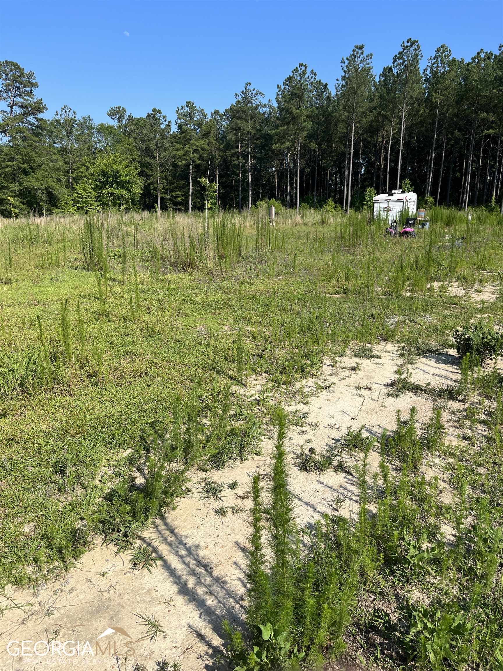 576 Mann Road Gay, GA 30218 - Photo 1 of 1 a view of a garden with an outdoor space