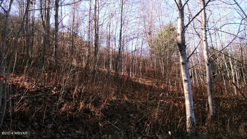 694 Jander Run Road Shinglehouse, PA 16748 - Photo 9 of 9 121777-09