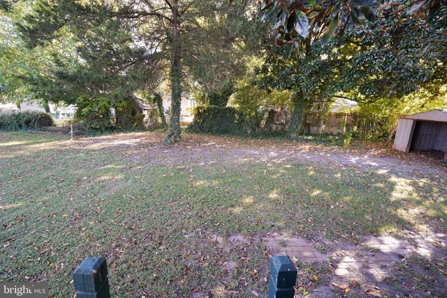 a view of a yard with trees