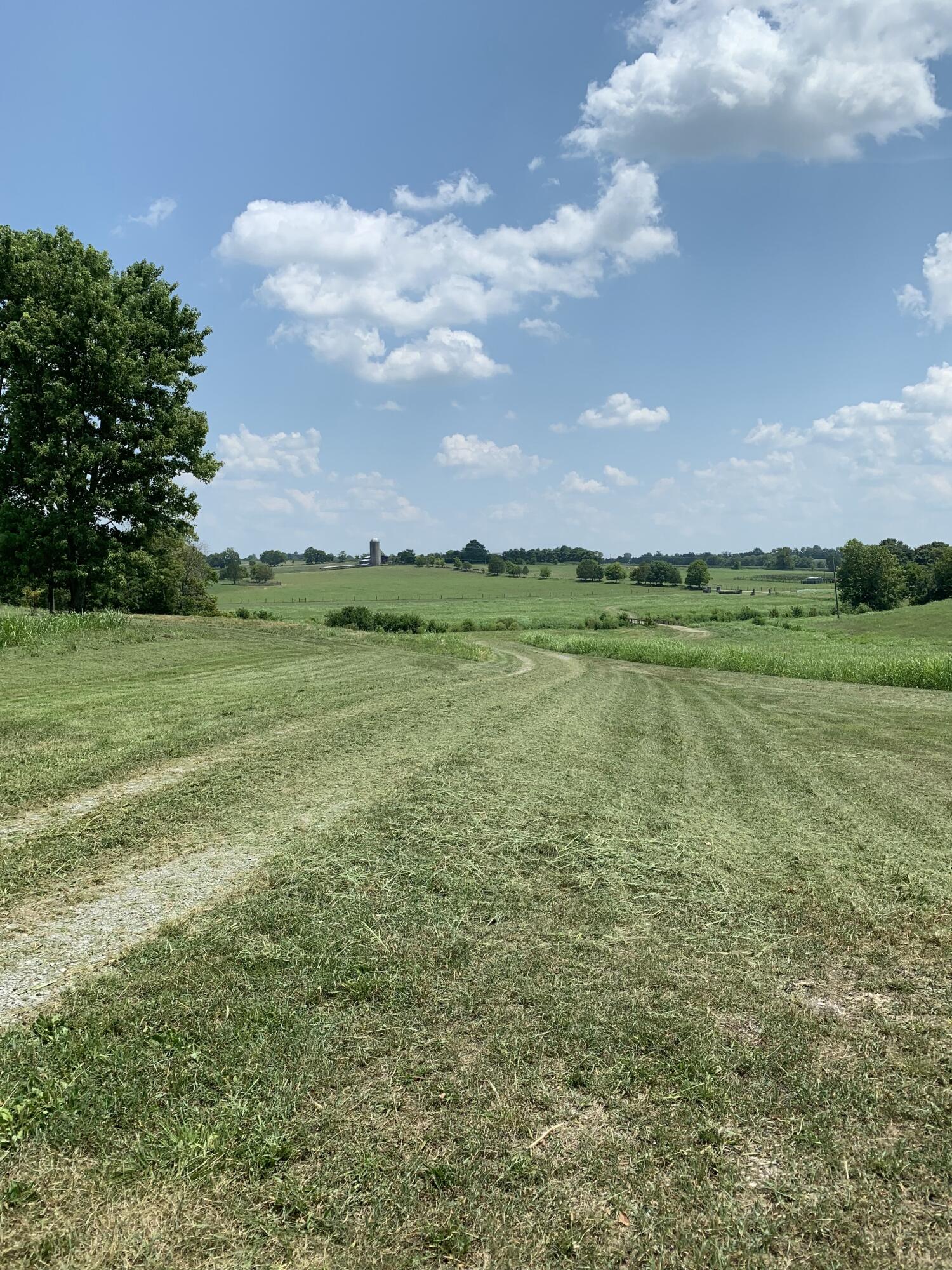 1534 Salt River Road Danville, KY 40422 - Photo 1 of 25 IMG_0696