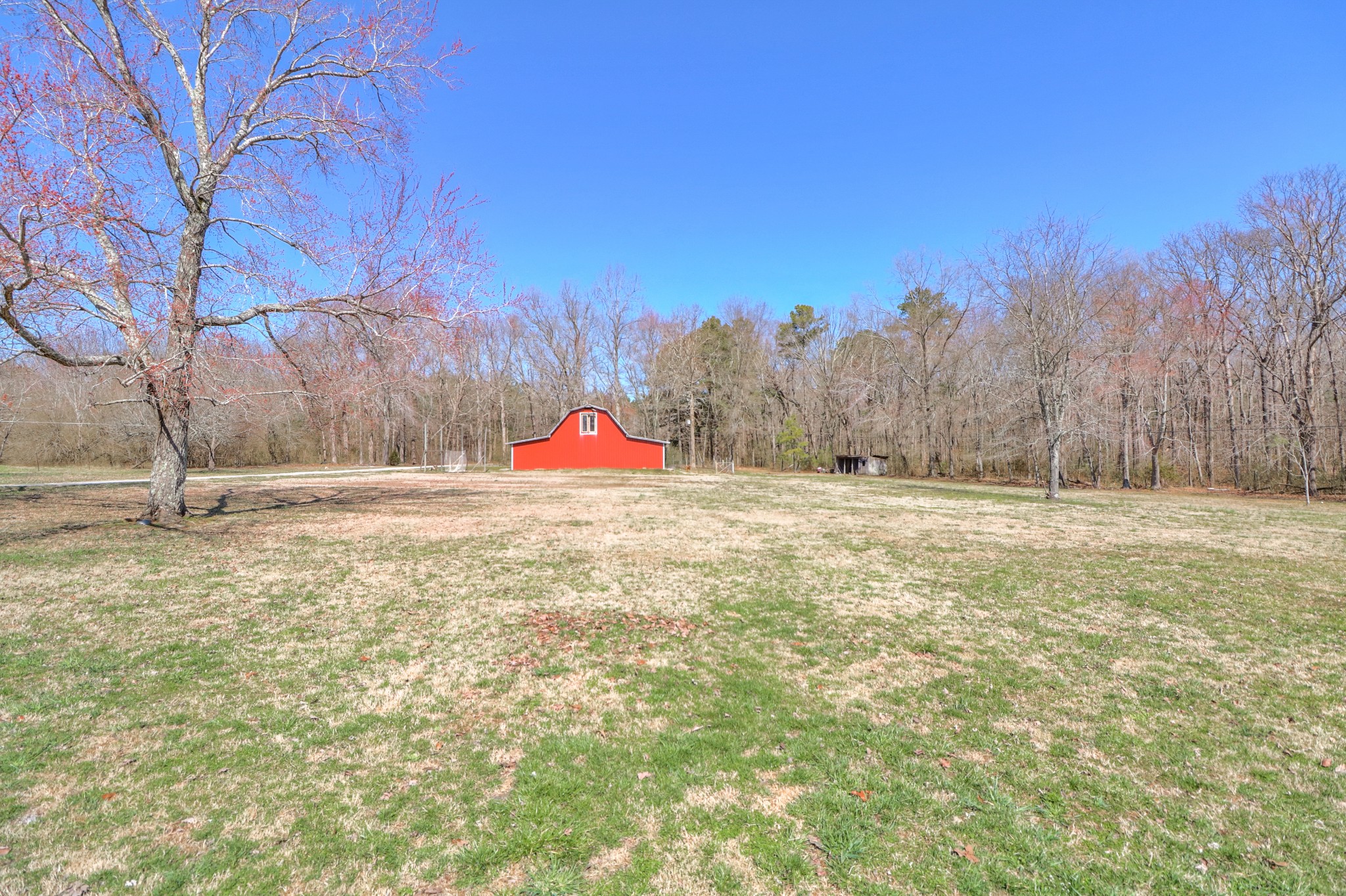 1003 Old Seminary Road Manchester, TN 37355 - Photo 19 of 23 Gallery Image 19