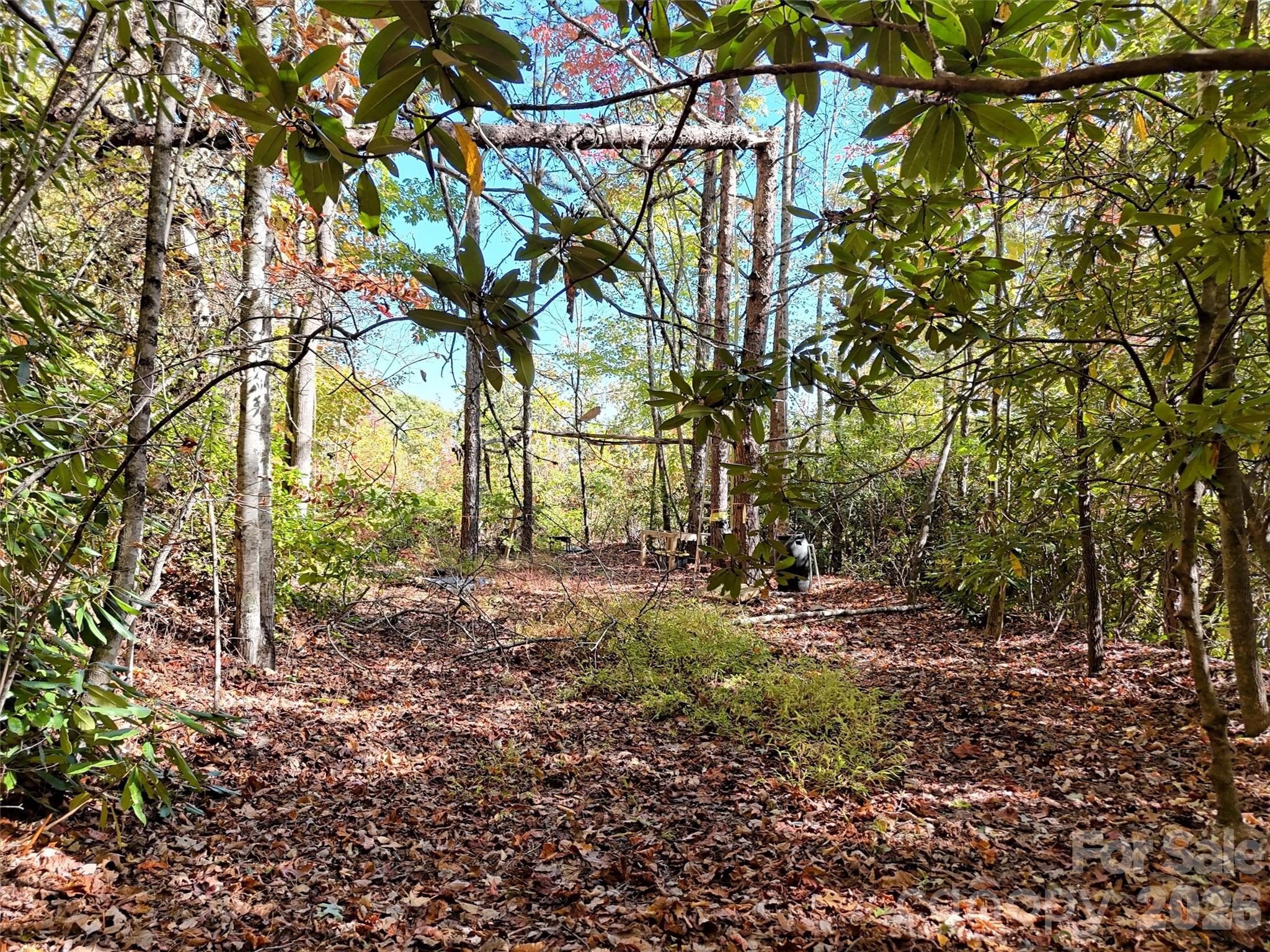 0 Mack Luke Road, Unit 6 Whittier, NC 28789 - Photo 11 of 23 a backyard of a house with lots of green space