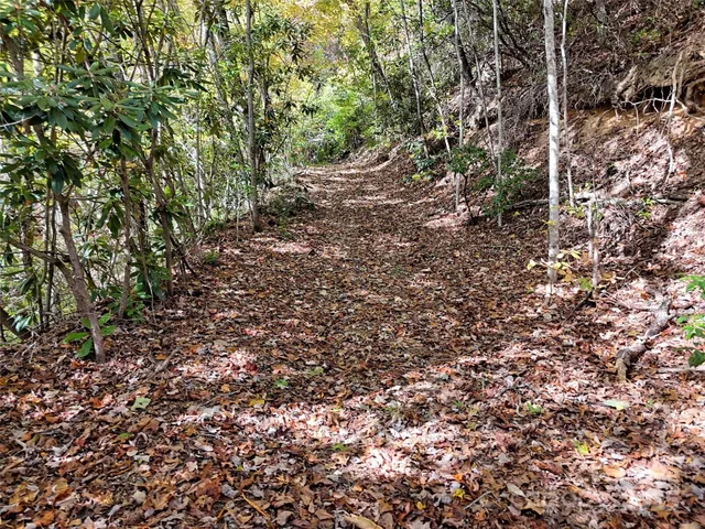 a view of a yard with a tree