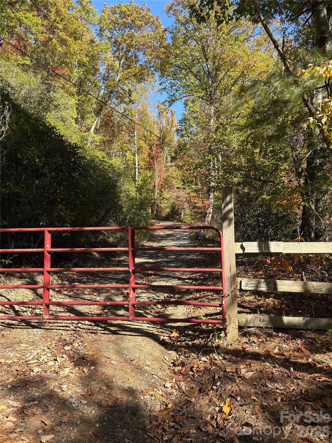 0 Mack Luke Road, Unit 6 Whittier, NC 28789 - Photo 16 of 23 a backyard of a house with lots of green space