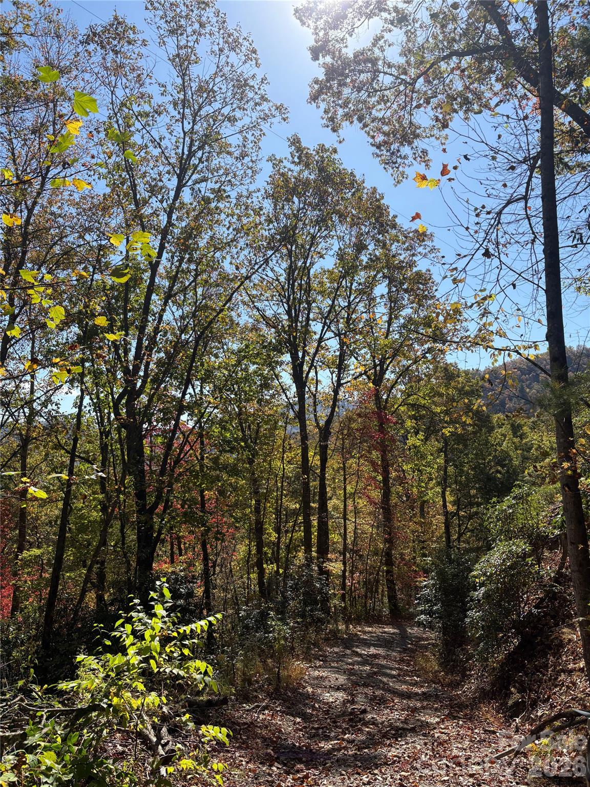 0 Mack Luke Road, Unit 6 Whittier, NC 28789 - Photo 19 of 23 a view of backyard with green space