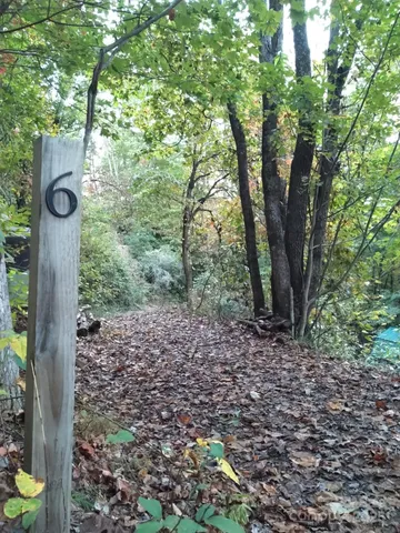 a view of a wooden door and trees