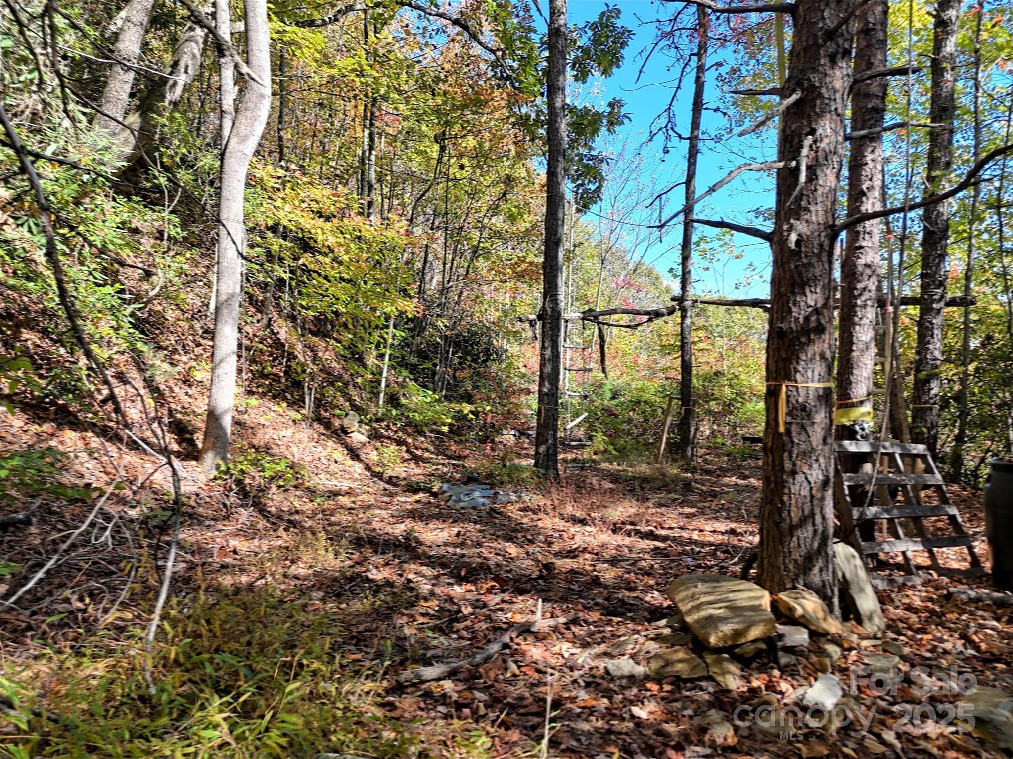 0 Mack Luke Road, Unit 6 Whittier, NC 28789 - Photo 2 of 23 a view of a yard with plants and large trees