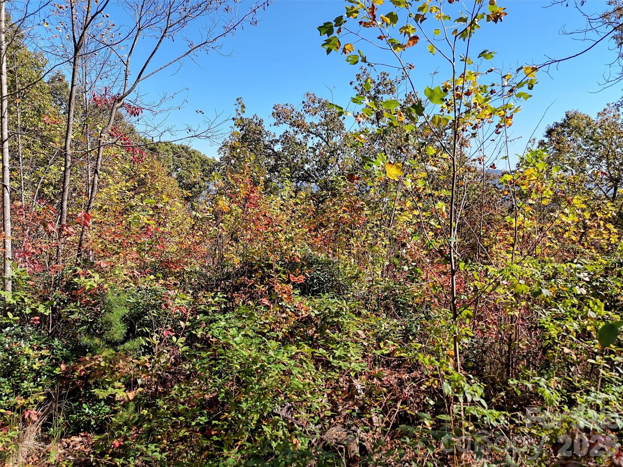 0 Mack Luke Road, Unit 6 Whittier, NC 28789 - Photo 8 of 23 a view of a tree with a yard