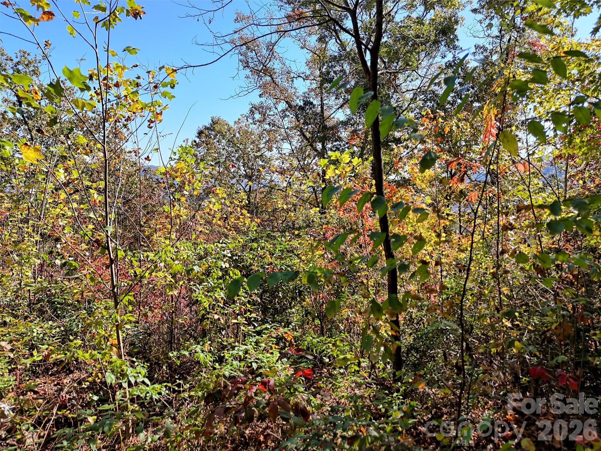 0 Mack Luke Road, Unit 6 Whittier, NC 28789 - Photo 9 of 23 a view of a tree