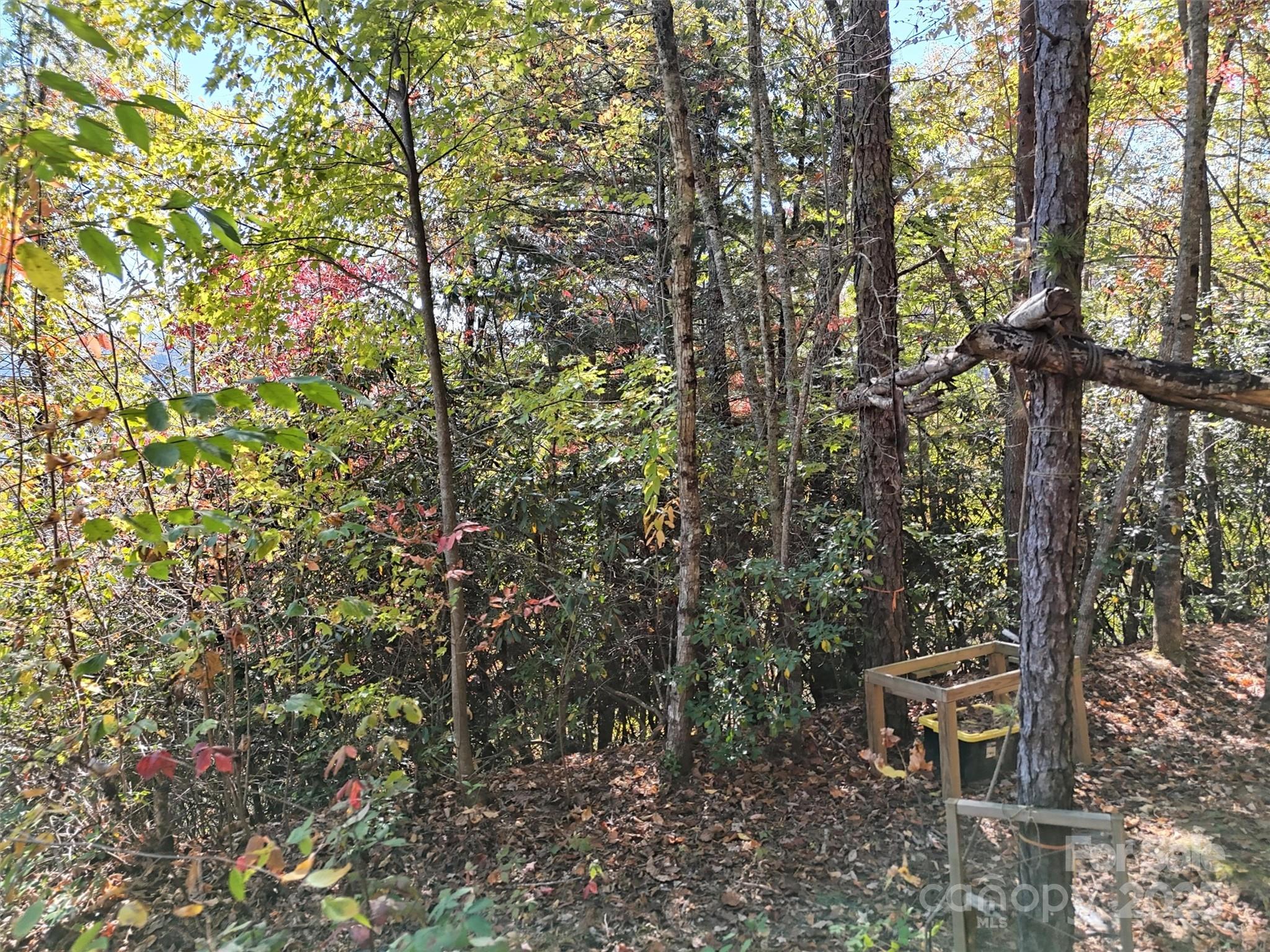 0 Mack Luke Road, Unit 6 Whittier, NC 28789 - Photo 10 of 23 a view of a yard