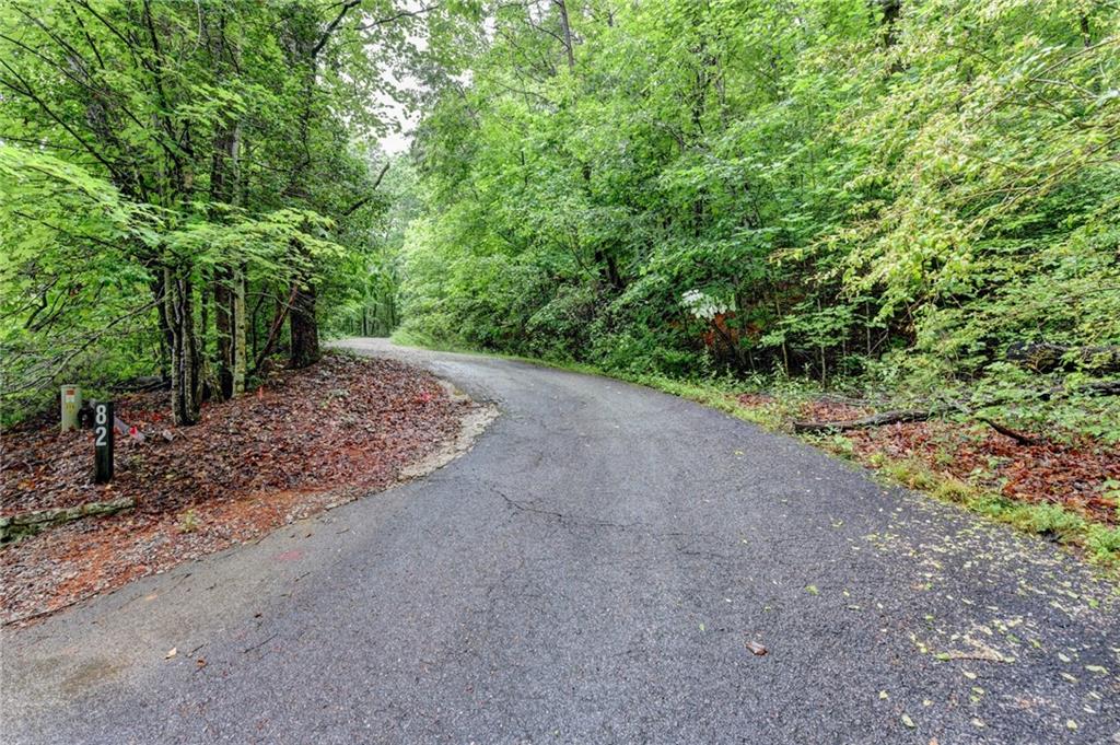 82 Walnut Grove Lane Tiger, GA 30576 - Photo 79 of 88 a view of a dirt road with trees in the background
